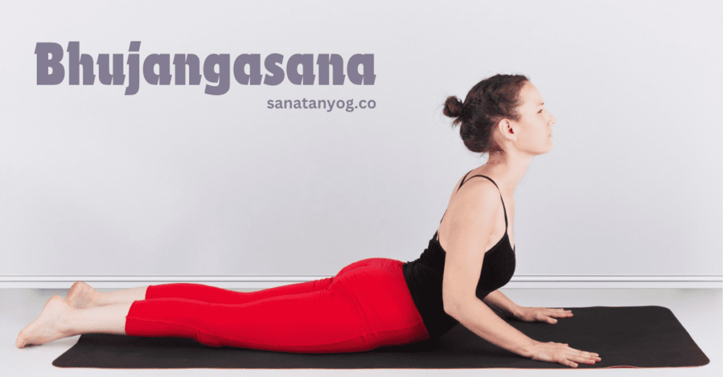 How to reduce belly fat by yoga, Bhujangasana